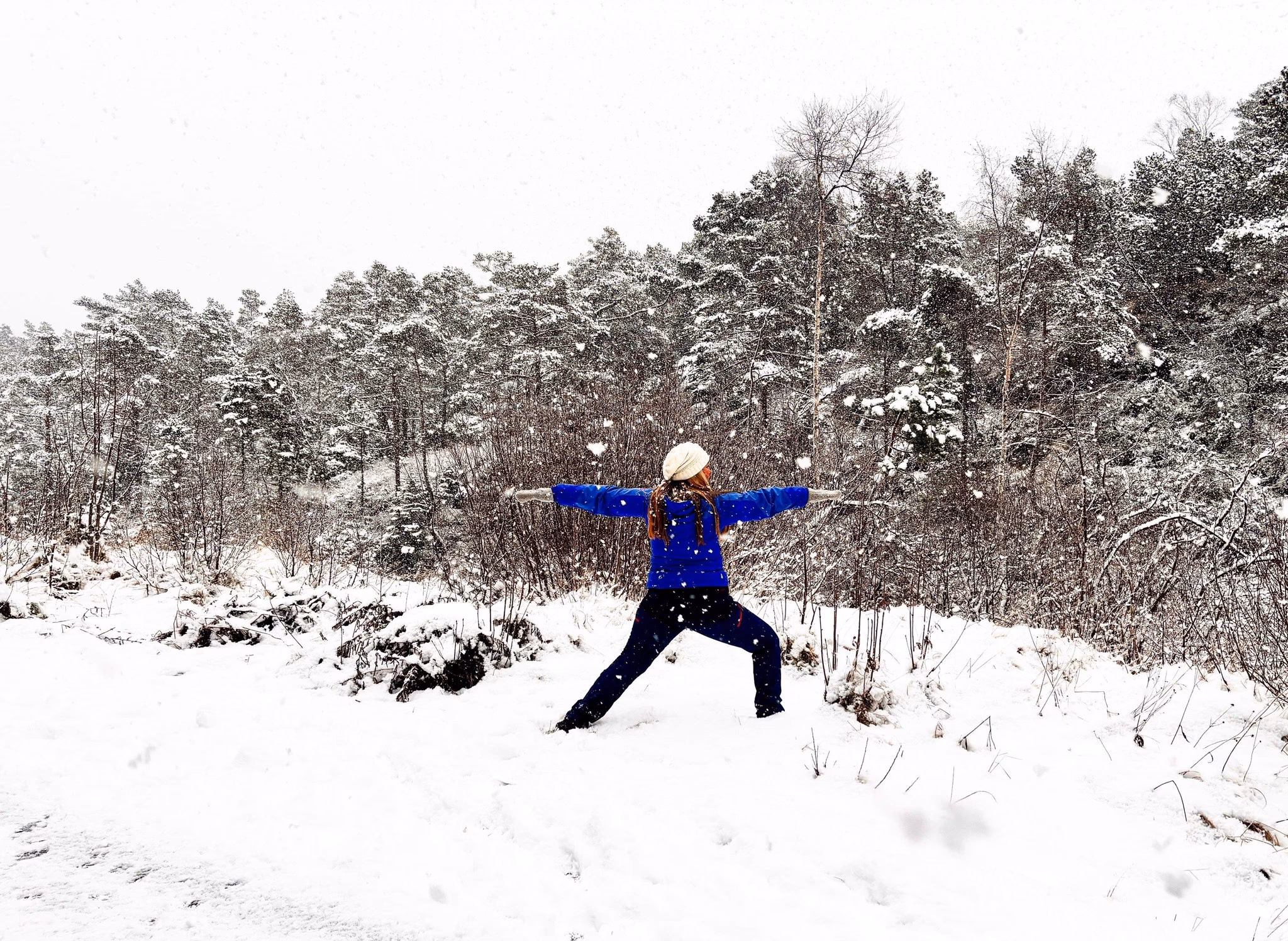 Bevegelse og fri flyt